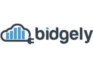 Bidgely Brings Energy Analytics for Utilities onto the Salesforce AppExchange